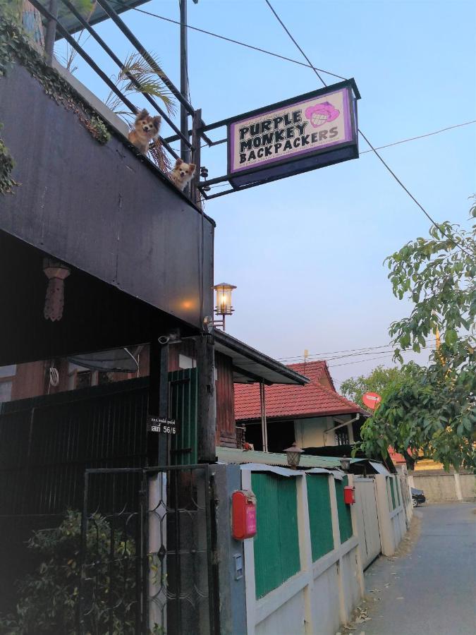 Purple Monkey Backpackers Chiang Mai Hostel Buitenkant foto