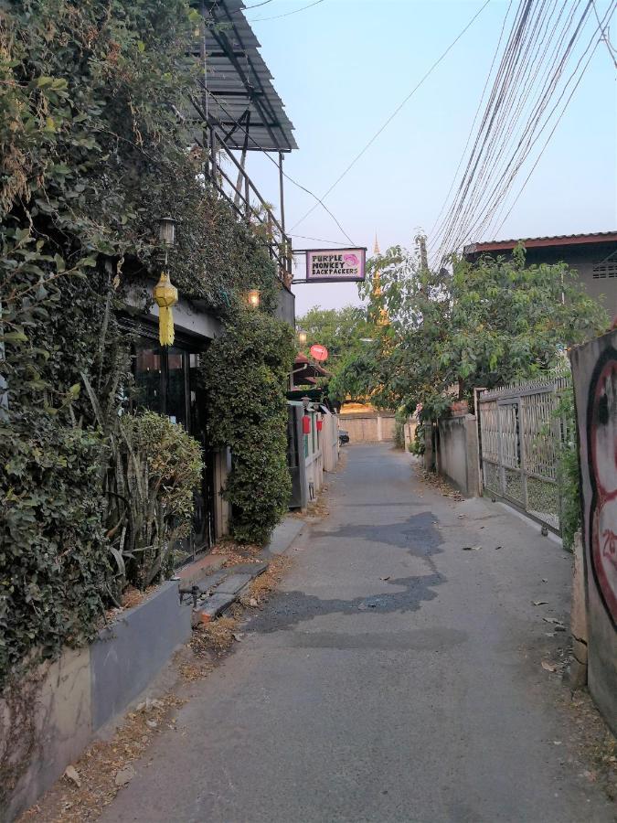 Purple Monkey Backpackers Chiang Mai Hostel Buitenkant foto